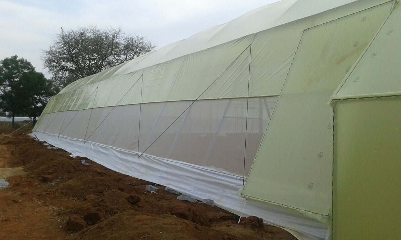 Ginegar Sunsaver IR 504(C-779) Greenhouse Covering Film Ginegar Sunsaver IR 504(C-779) Greenhouse Covering Film