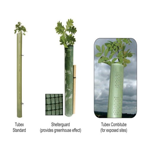 Tree Shelter